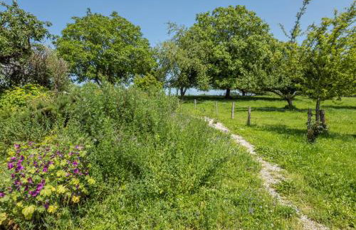 Ferienhof Mrowka - Photo 17