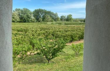 Mas La Resse - Foto 34