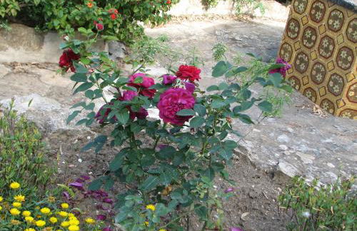 Residence Casale Verderame - Foto 27