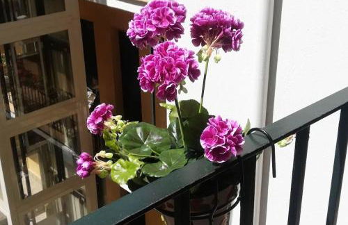 El Patio de San Bernardo - Foto 45