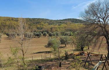 Agriturismo Capannacce - Foto 23