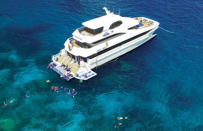 Great Barrier Reef Snorkeling Tour - Foto 1