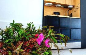 Apartment in Sardinia Sol y Luna 11 - Foto 4