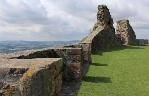 Schöne Ferienwohnung mit gemütlicher Terrasse - Foto 52