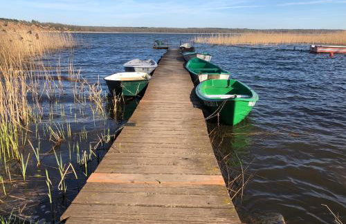 Horyzont Wałpusz - Foto 22