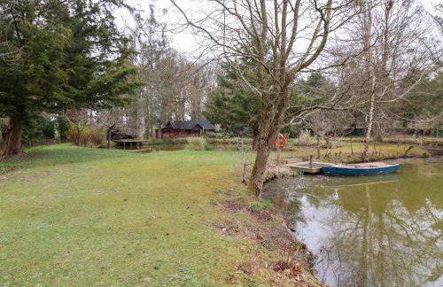 Woodpeckers - Photo 27