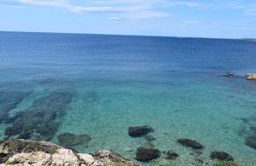 Apartment Ivy - Foto 22