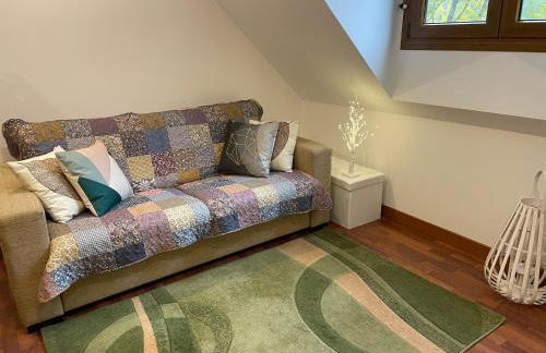 CALMFRANC ático abuhardillado con vistas al río y la montaña Avistamiento de ciervos en Canfranc Pueblo - Foto 11