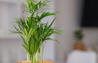 Design Apartment / 2 Room / Central / Contactless Check-in - Foto 47