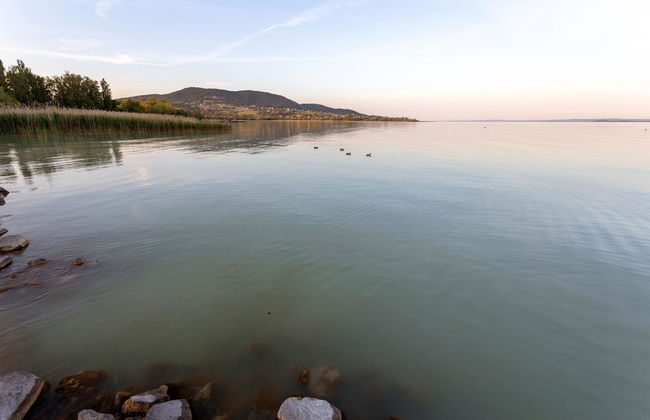 House Hortenzia Lake View - Foto 34