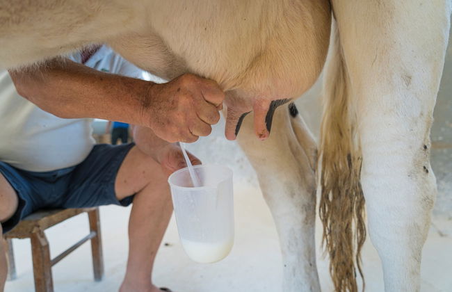 AGRITURISMO SCALELLE - Foto 79