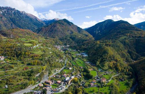 Quader nidi nel verde - Foto 79