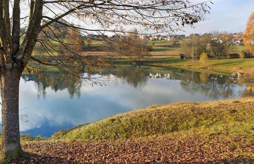 Ferienanlage Bäckerwiese in Neuschönau - Foto 12