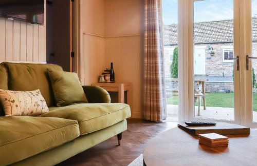 Chestnut - Ids - Foto 1