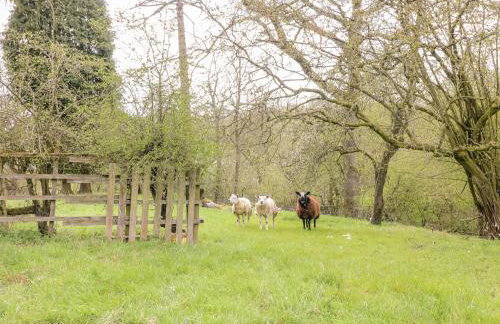 Green Farm Cottage - Foto 24