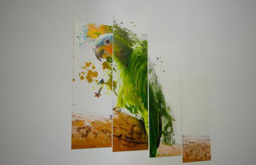 Green Parrot Apartments - Foto 41