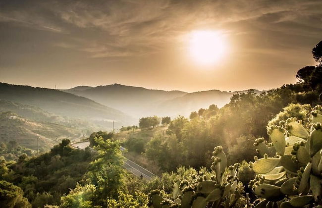 Casale storico nella campagna cilentana - Foto 62