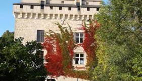 Château Tour du XIII siècle Gazaupouy - Photo 2