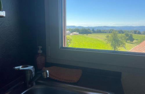 Haus Jehle - Foto 49