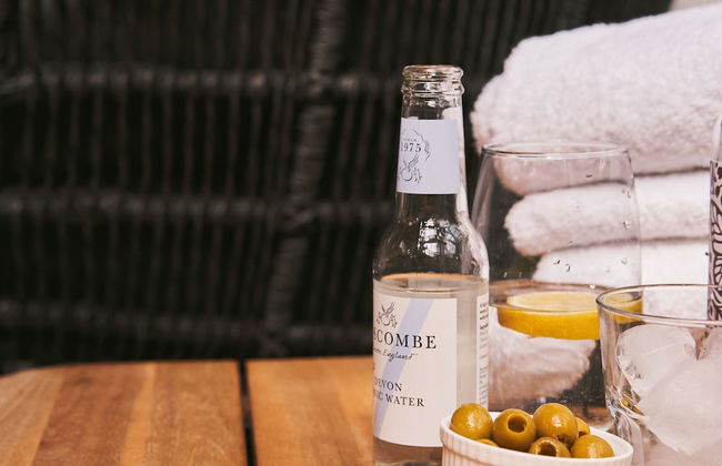 Swifts Return in Lower Ashton - Foto 13