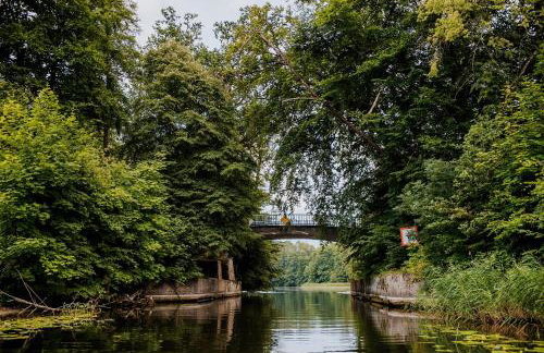 Dziki Las - domki na drzewach - Foto 80