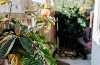 Mira Mesa Private Suite with Private Bath & Entry #1 - Photo 12