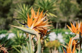 Can Pep Gibert - Foto 58