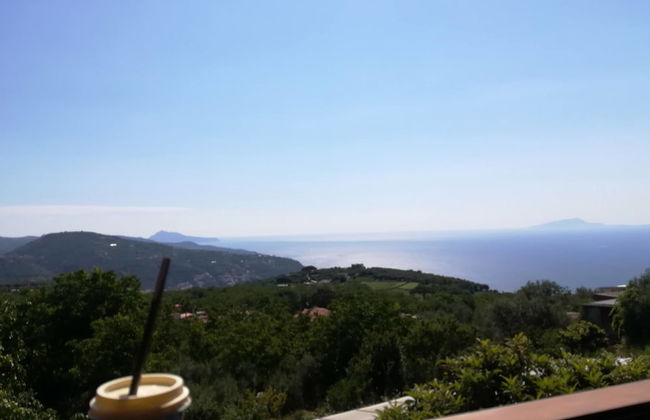 Agriturismo Castanito - Foto 73