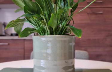 Le Vauban Cambrai - Foto 30