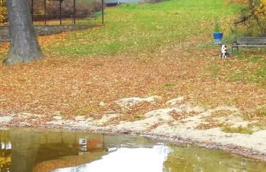 Schwandt-ein Bungalow mit Wasserblick, Ruderboot auf Anfrage - Foto 23