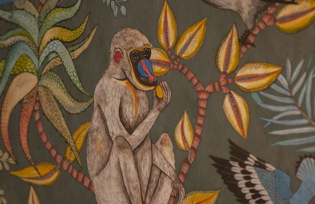 Ca' della Scimmia - Foto 13