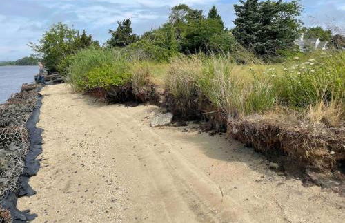 Tranquil Gardens Cape May Private Beach Steps Away - Foto 29