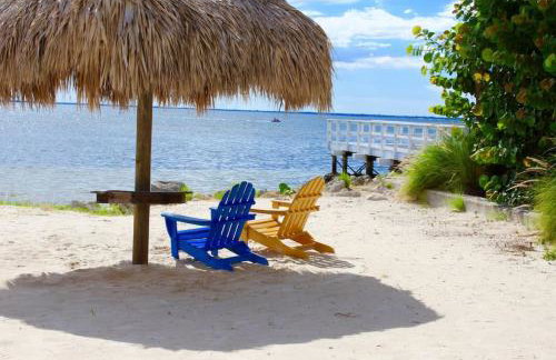 Sunset Paradise - Find yourself in Tampa - Photo 38