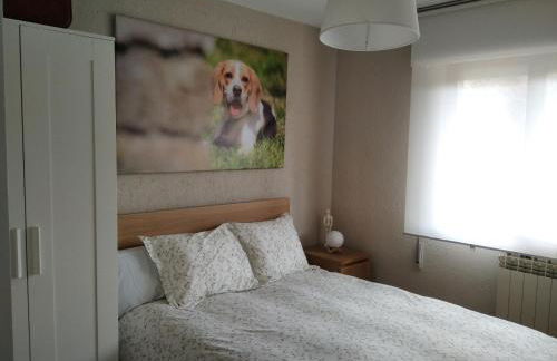 Kira en Las Merindades - Photo 16