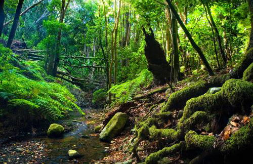 Villa Aloe - Foto 20