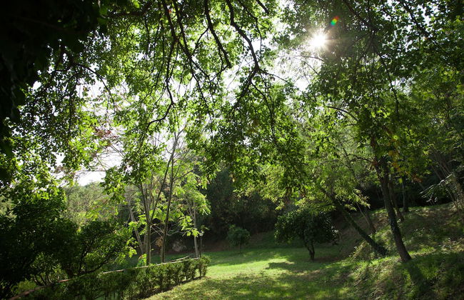 Agriturismo La Vecchia Quercia - Photo 61