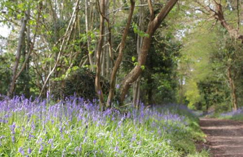 The Dairy House - Photo 31