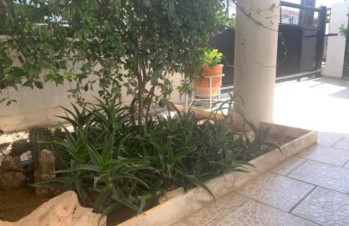 Best location in Vrachati - Photo 28