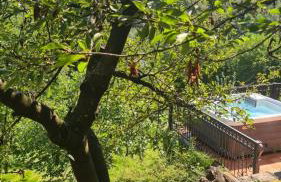 Holiday Home Medimurski Ceker - Foto 10