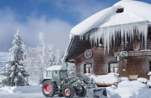 Ferienwohnung Kraftquelle im Wohnpark SchwarzwaldBlick, Bernau - Foto 17