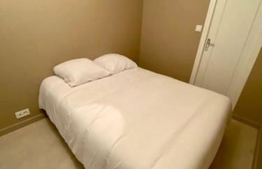 Appartement 125m2 au centre de Cusset - Foto 22