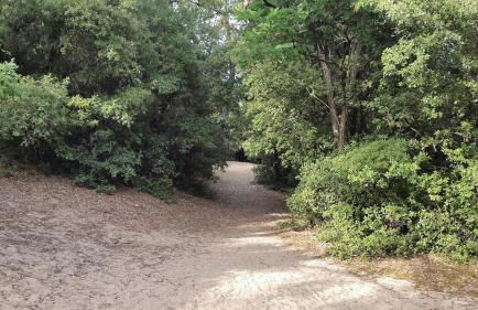 Charmante maison vendéenne proche de la plage - Photo 41