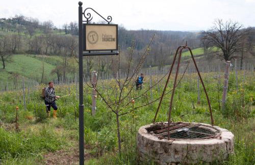 Palazzo Tronconi agriturismo - Foto 15