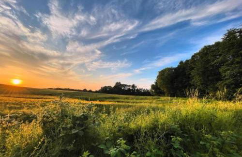 Peaceful Escape in Neu Karin - Foto 46