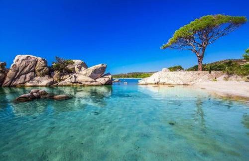 VILLA tous conforts avec Piscine privée et accès Plage - Foto 36