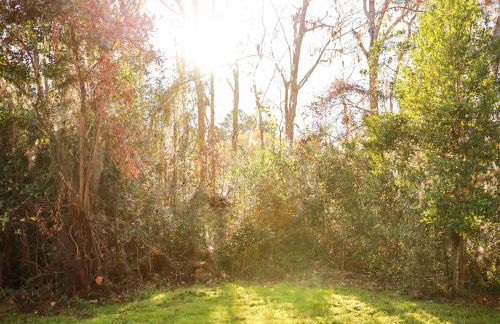 Sleeps 12! 5 BDRM-2 Kings,3 Queens-Deck & Patio-Mins to PI & Beaufort - Foto 33