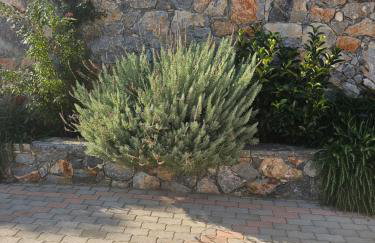 Villa petros - Foto 58