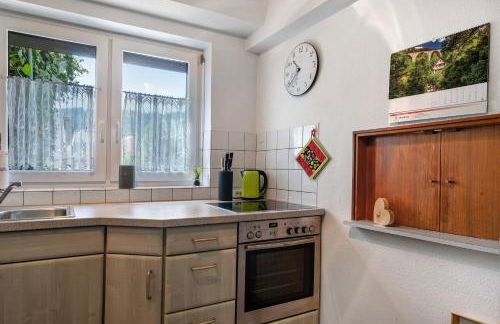 Aufblühen in Menzenschwand - Foto 14