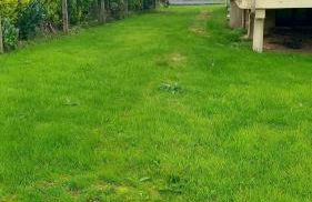 Holiday house in the Ardennes - Foto 36