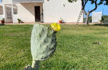 Sicilia holiday Etna house - Foto 1